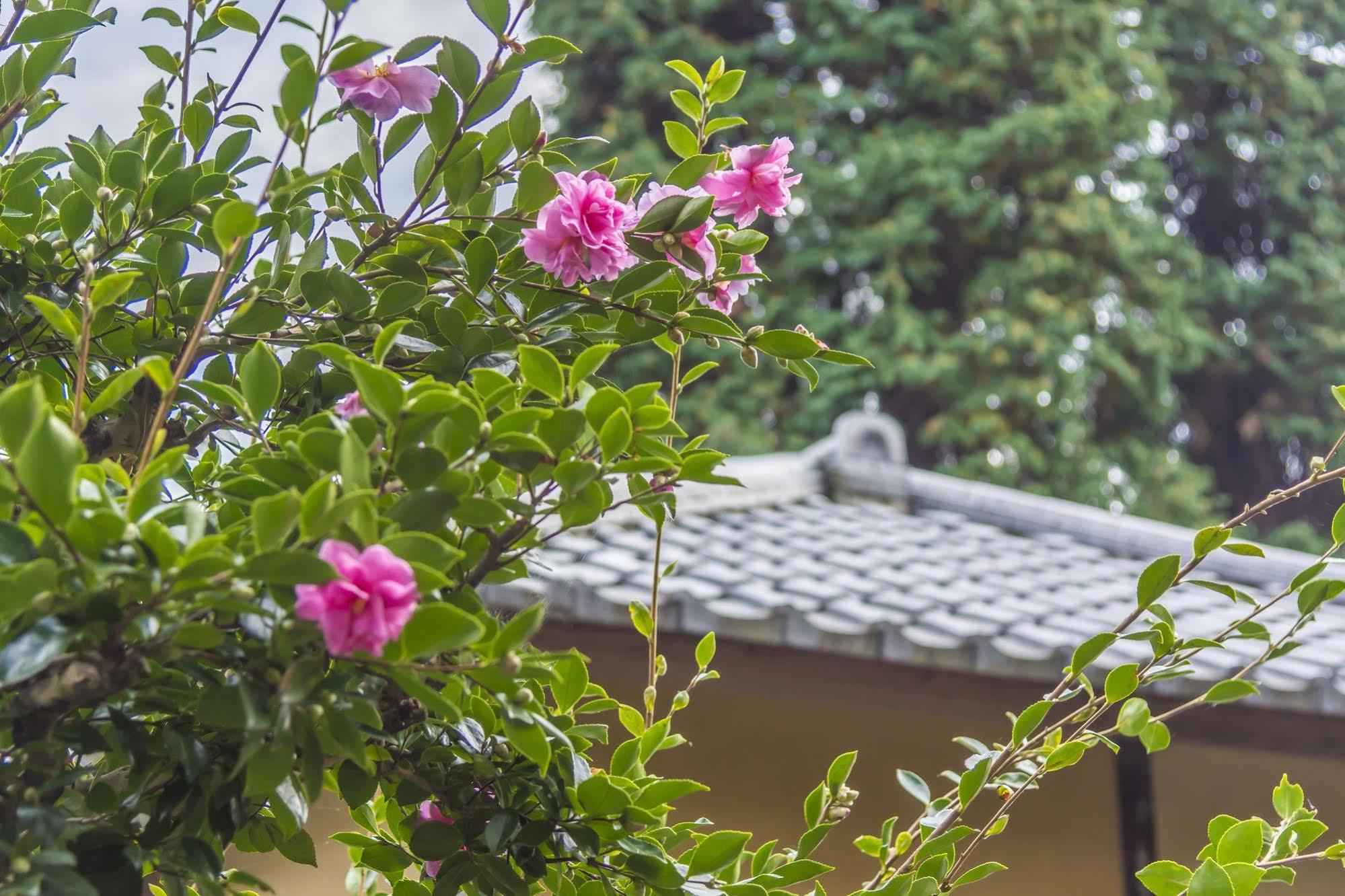 Utsunomiya Grand Hotel Extérieur photo